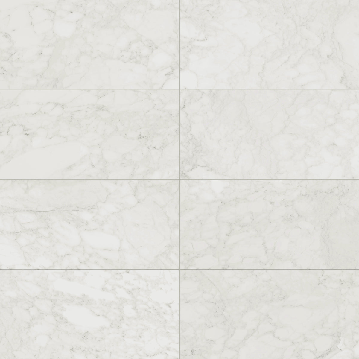 Aniston 24 x 48 Matte Porcelain Tile in Carrara Bianco