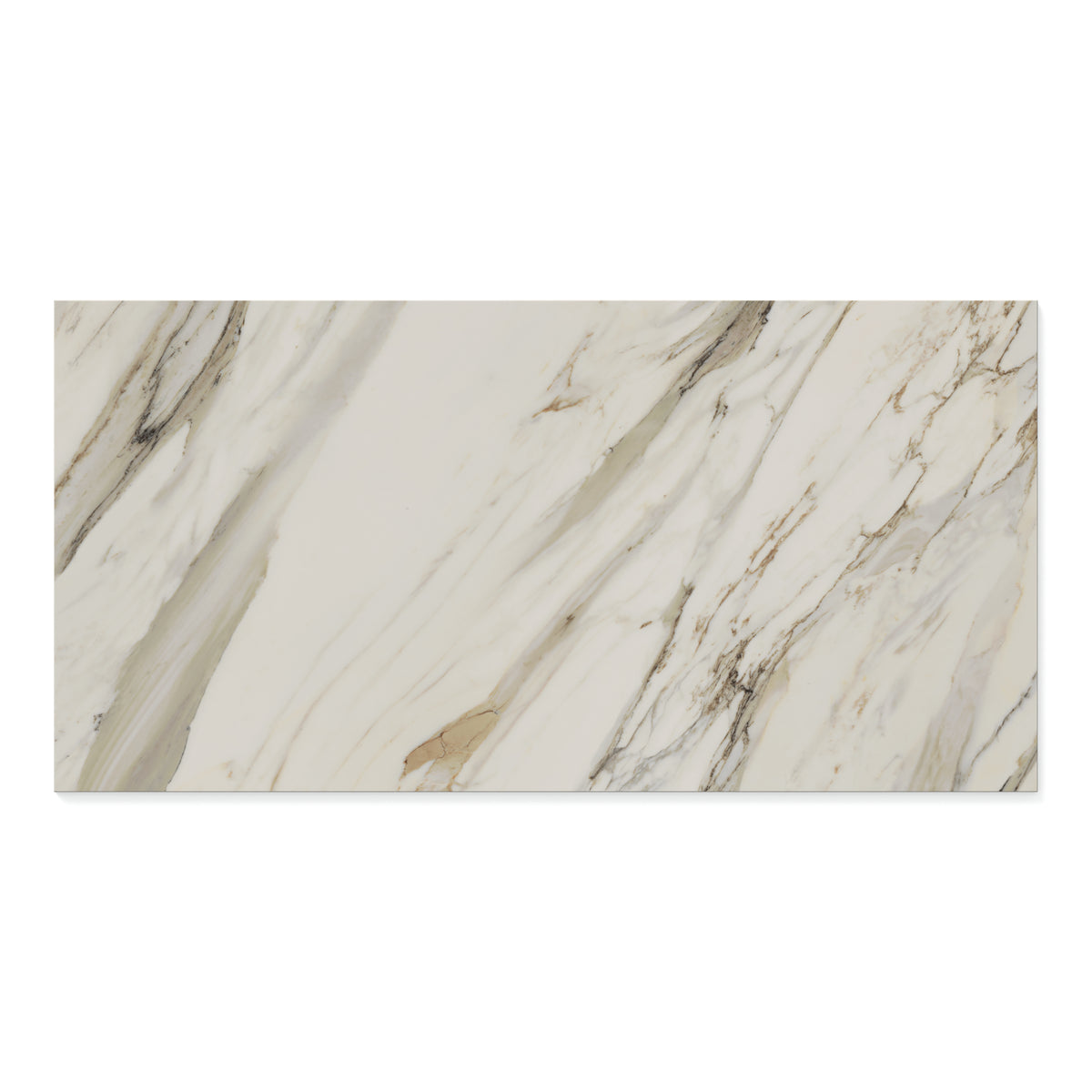 Aniston 24 x 48 Matte Porcelain Tile in Calacatta Cremo