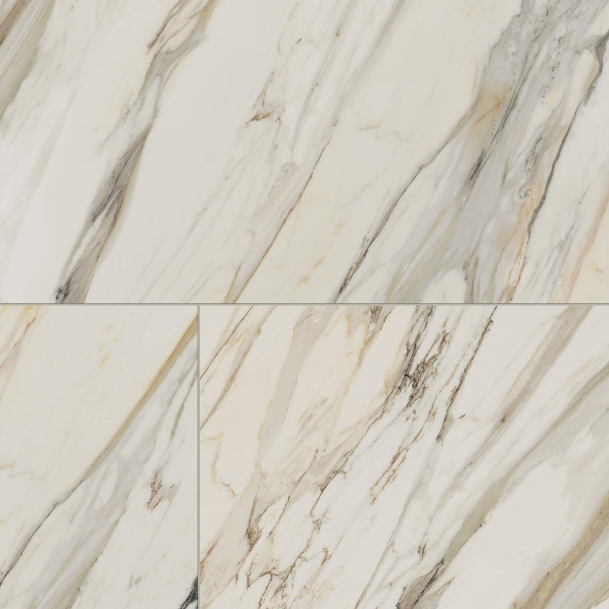 Aniston 24 x 48 Matte Porcelain Tile in Calacatta Cremo