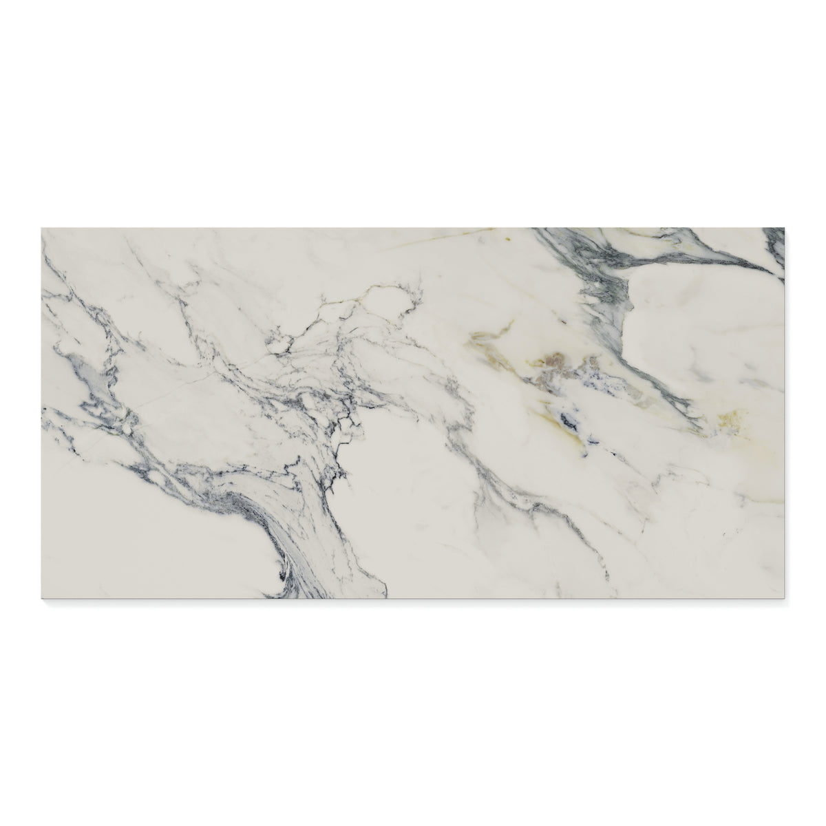 Aniston 24 x 48 Matte Porcelain Tile in Calacatta Antico