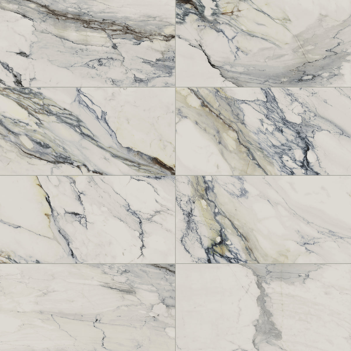 Aniston 24 x 48 Matte Porcelain Tile in Calacatta Antico