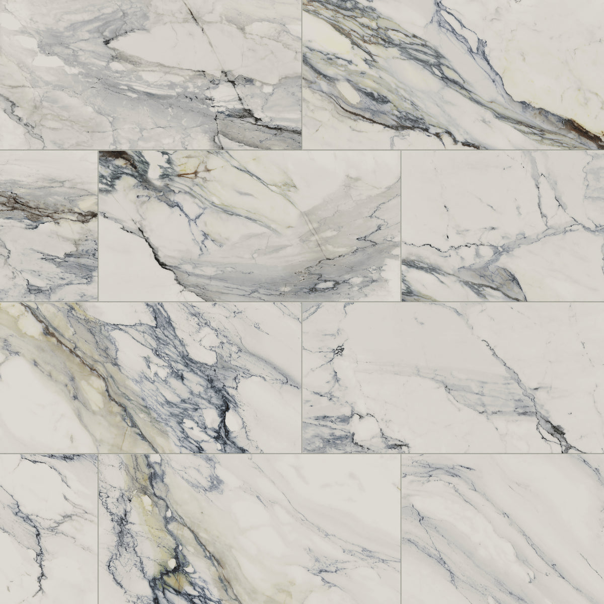 Aniston 24 x 48 Matte Porcelain Tile in Calacatta Antico