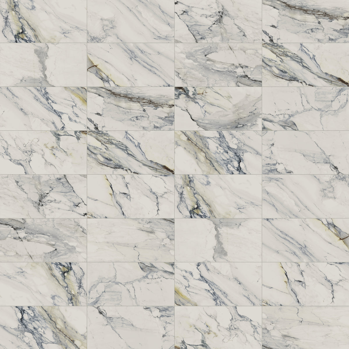 Aniston 24 x 48 Matte Porcelain Tile in Calacatta Antico