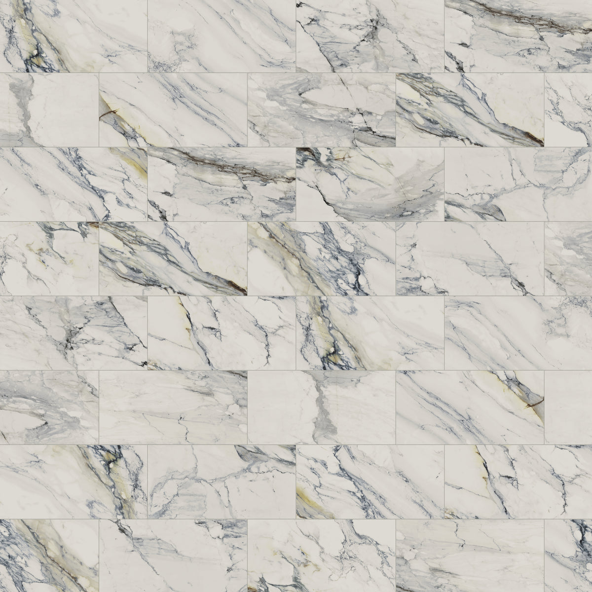 Aniston 24 x 48 Matte Porcelain Tile in Calacatta Antico