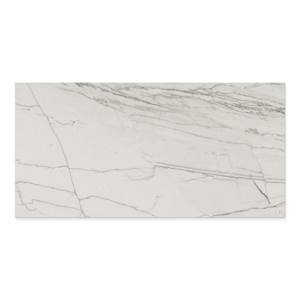 Aniston 24 x 48 Polished Porcelain Tile in Calacatta Quartzite