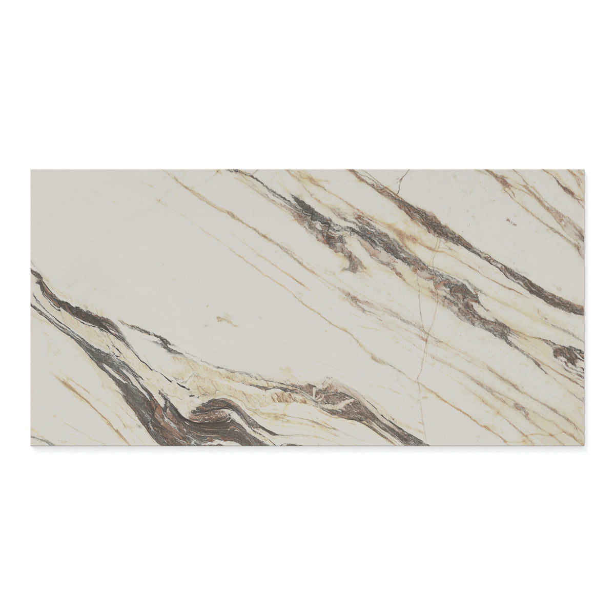 Aniston 24 x 48 Polished Porcelain Tile in Calacatta Viola