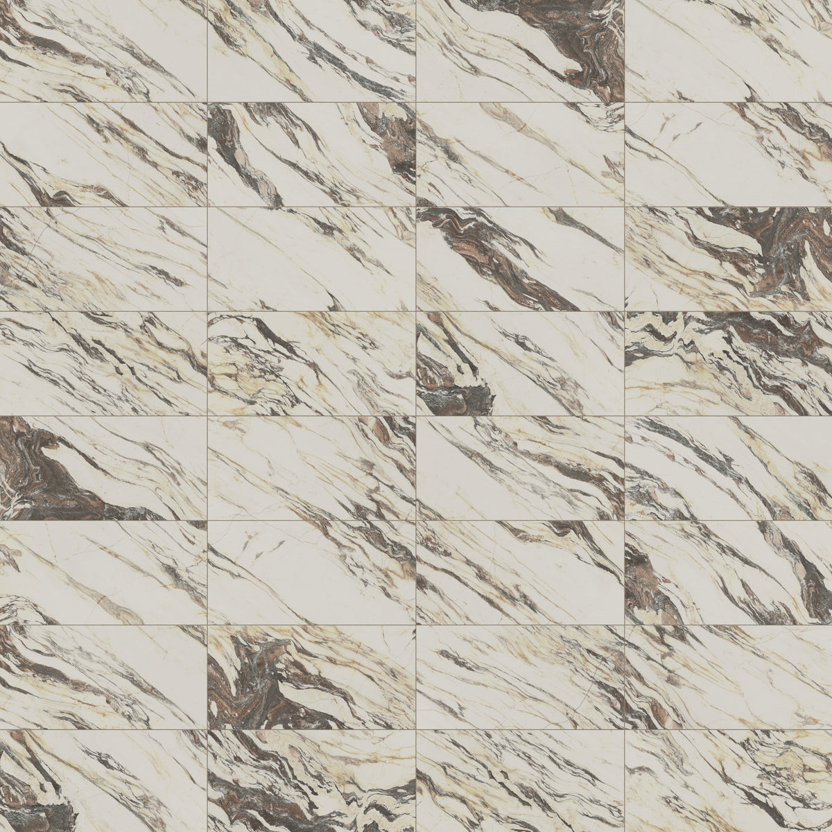 Aniston 24 x 48 Polished Porcelain Tile in Calacatta Viola