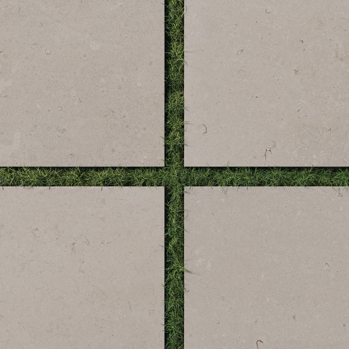 Wren 24x24 2cm matte porcelain pavers in a natural dune-beige finish, seamlessly arranged with lush green grass for a modern outdoor aesthetic.
