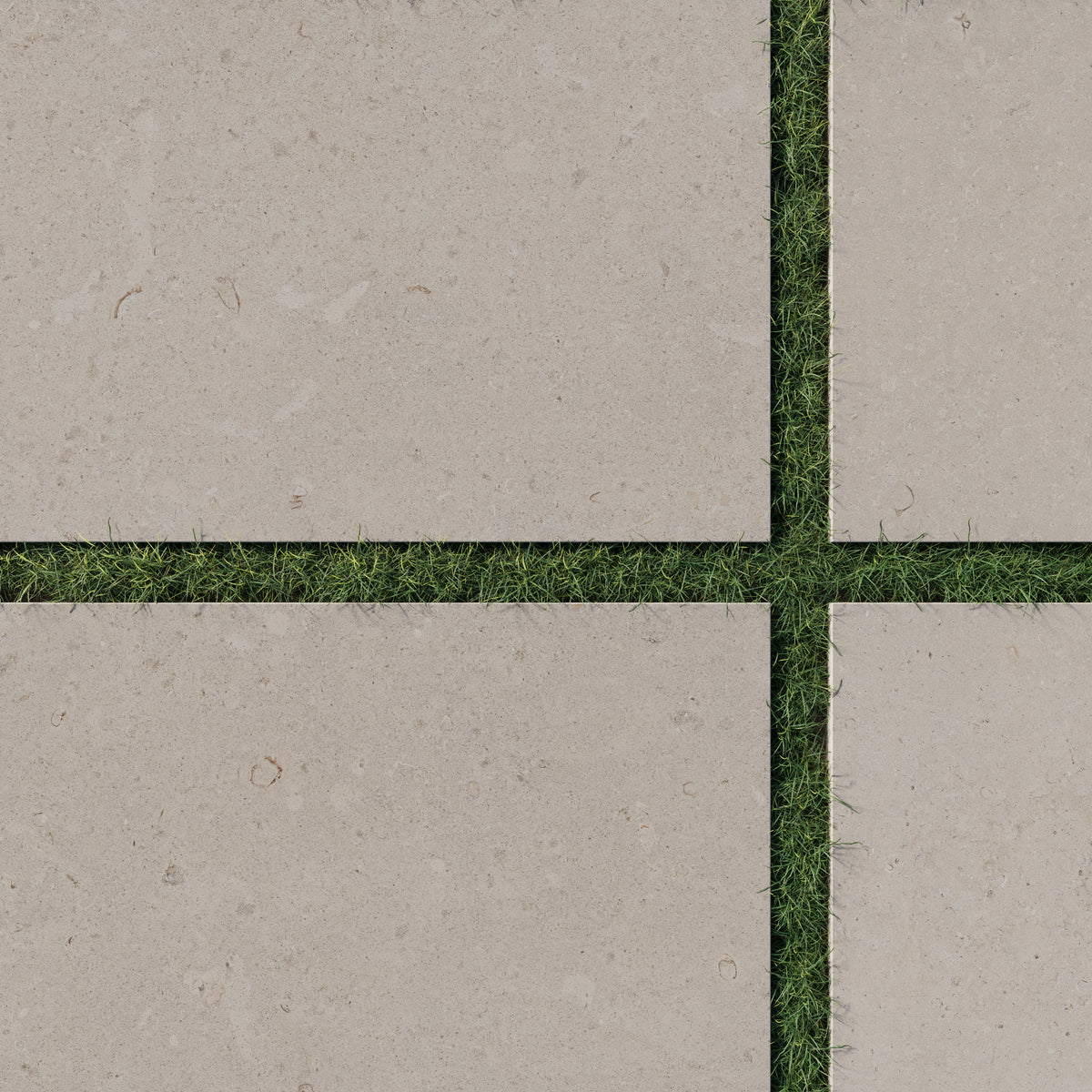 Close-up of Wren 24x36 grip porcelain 2cm paver tiles in dune, showcasing a natural beige tone with precise placement on lush green grass for modern outdoor designs.