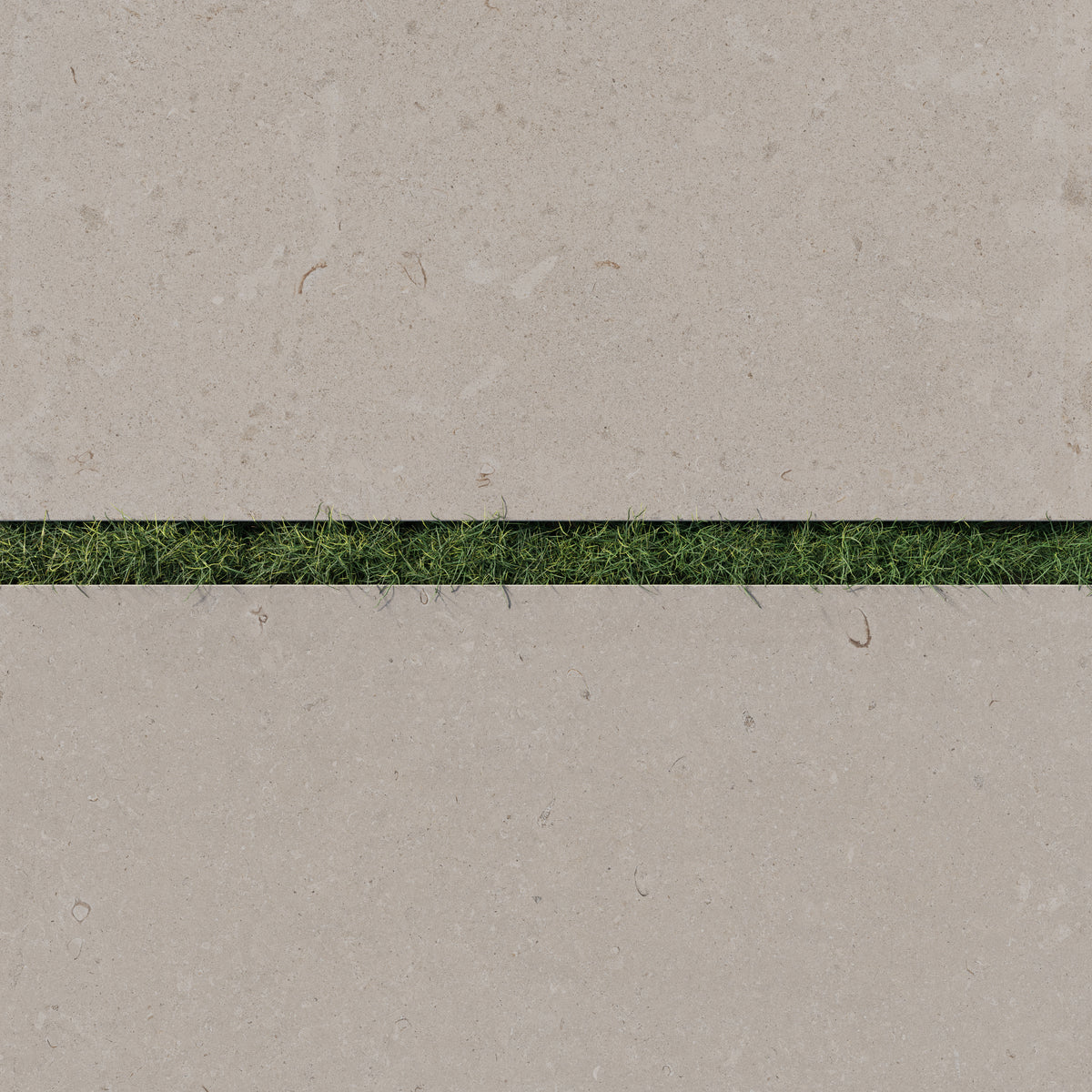 Detailed view of Wren 24x48 dune porcelain pavers with a 2cm outdoor matte finish, elegantly spaced with green grass for a modern and natural look.