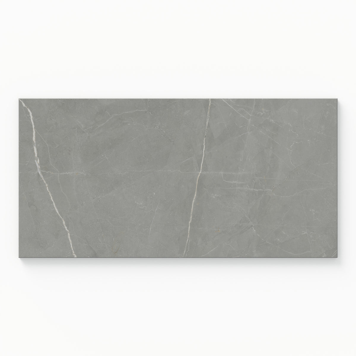 Leona 12 x 24 Polished Porcelain Tile in Amani Grey