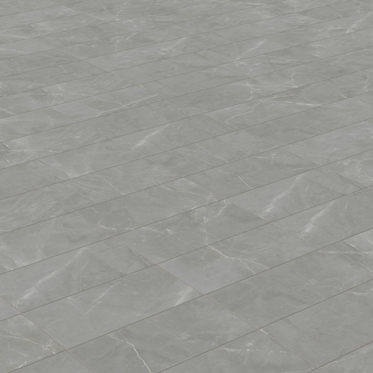Leona 12 x 24 Matte Porcelain Tile in Amani Grey