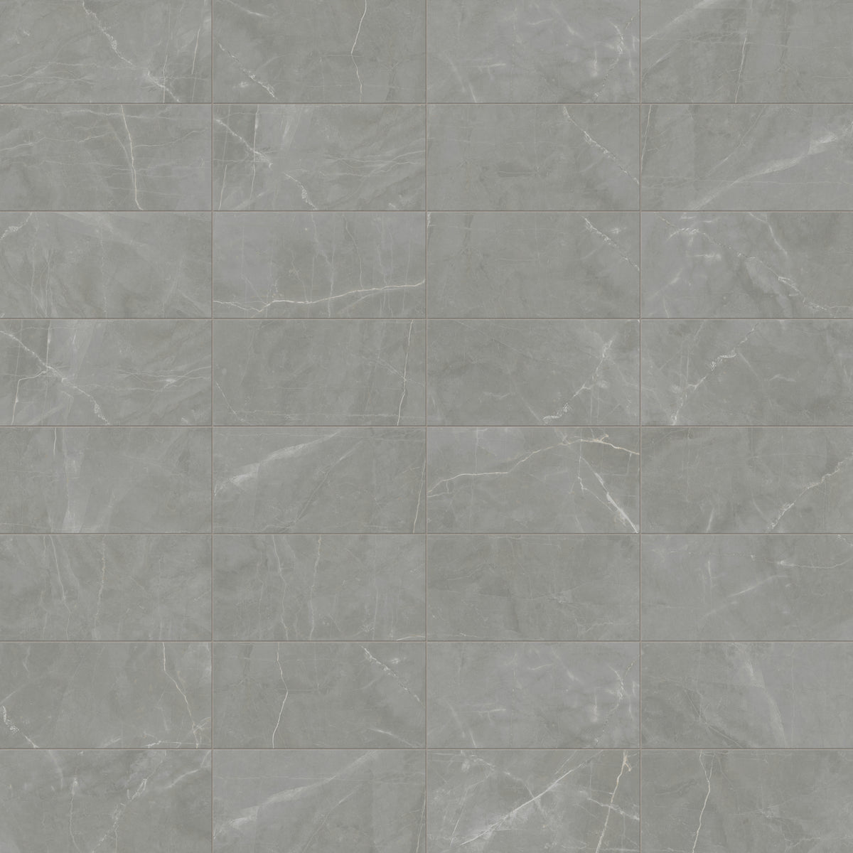Leona 12 x 24 Matte Porcelain Tile in Amani Grey
