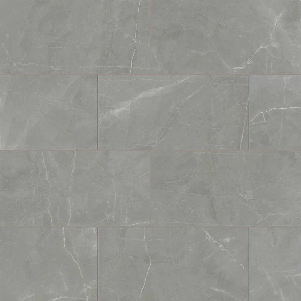 Leona 12 x 24 Matte Porcelain Tile in Amani Grey