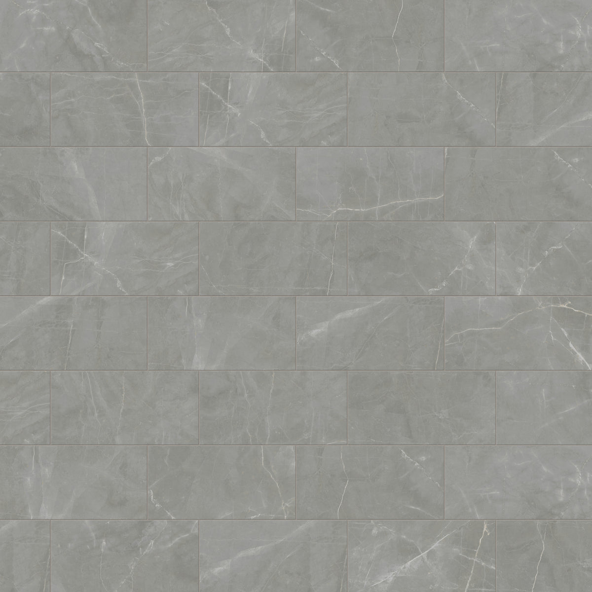Leona 12 x 24 Matte Porcelain Tile in Amani Grey