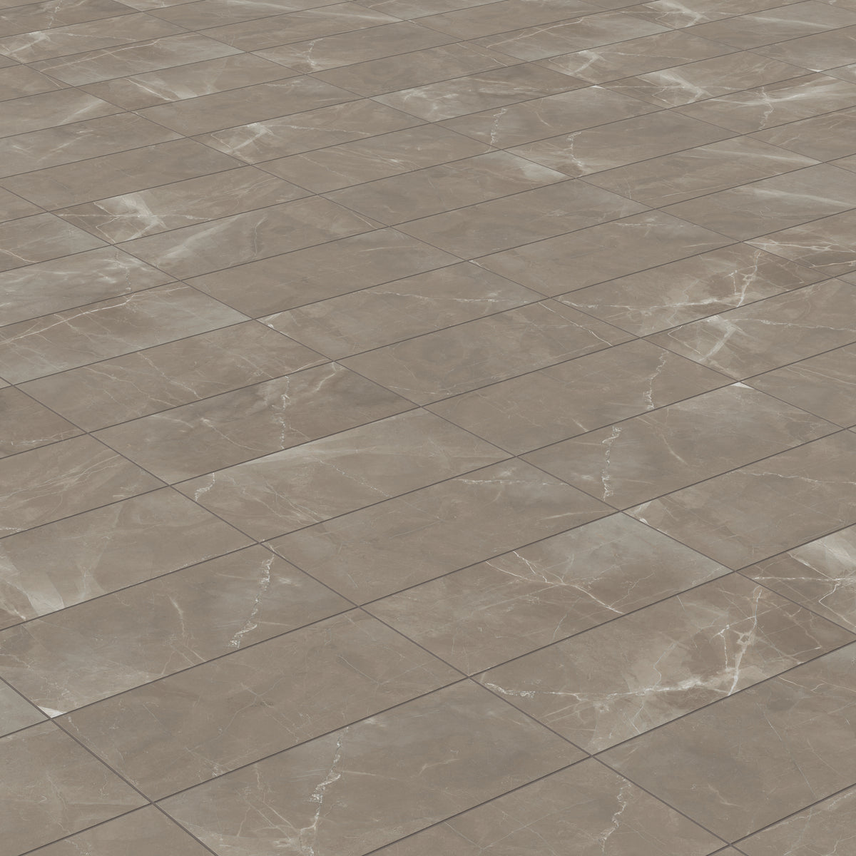 Leona 12 x 24 Matte Porcelain Tile in Amani Bronze