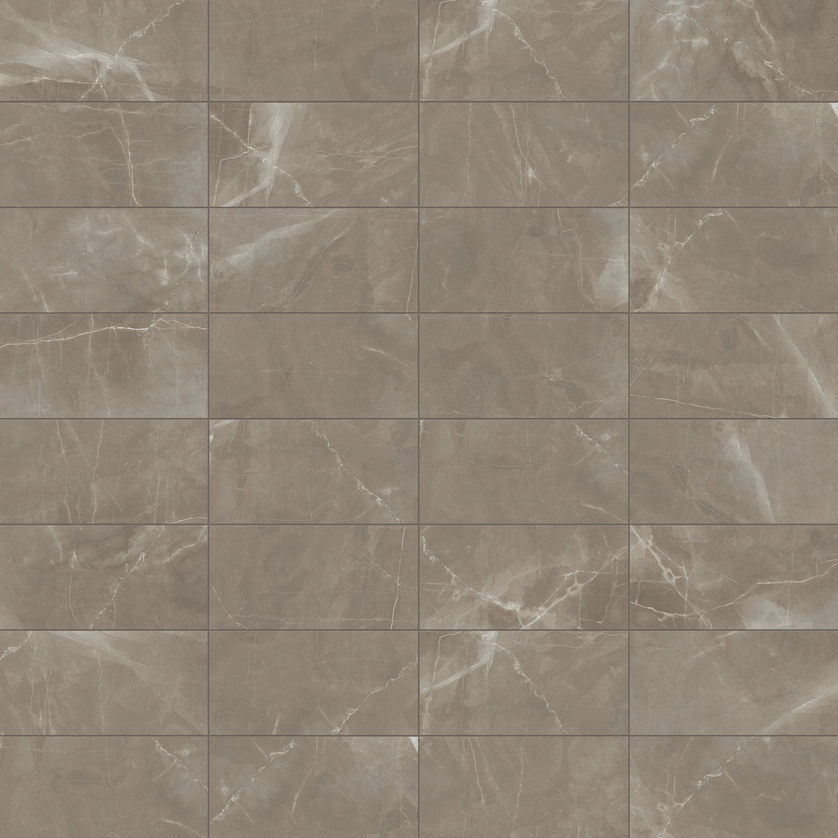 Leona 12 x 24 Matte Porcelain Tile in Amani Bronze