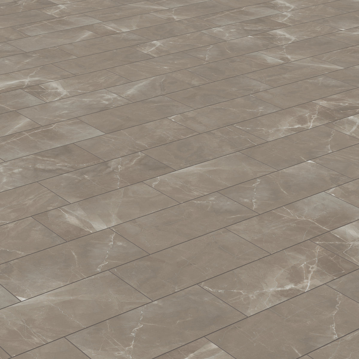 Leona 12 x 24 Matte Porcelain Tile in Amani Bronze