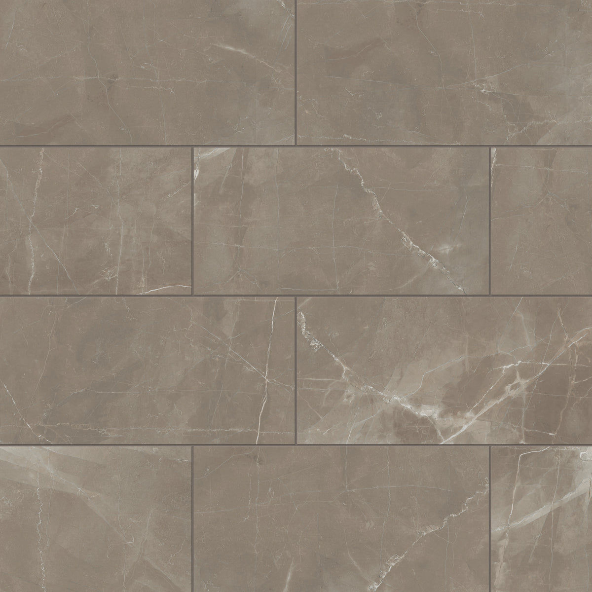 Leona 12 x 24 Matte Porcelain Tile in Amani Bronze