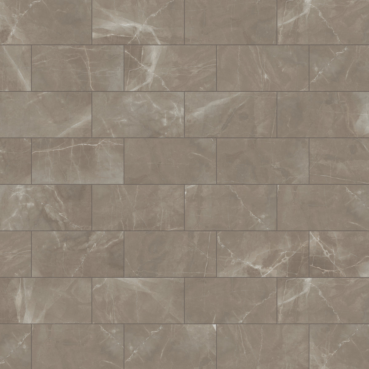 Leona 12 x 24 Matte Porcelain Tile in Amani Bronze