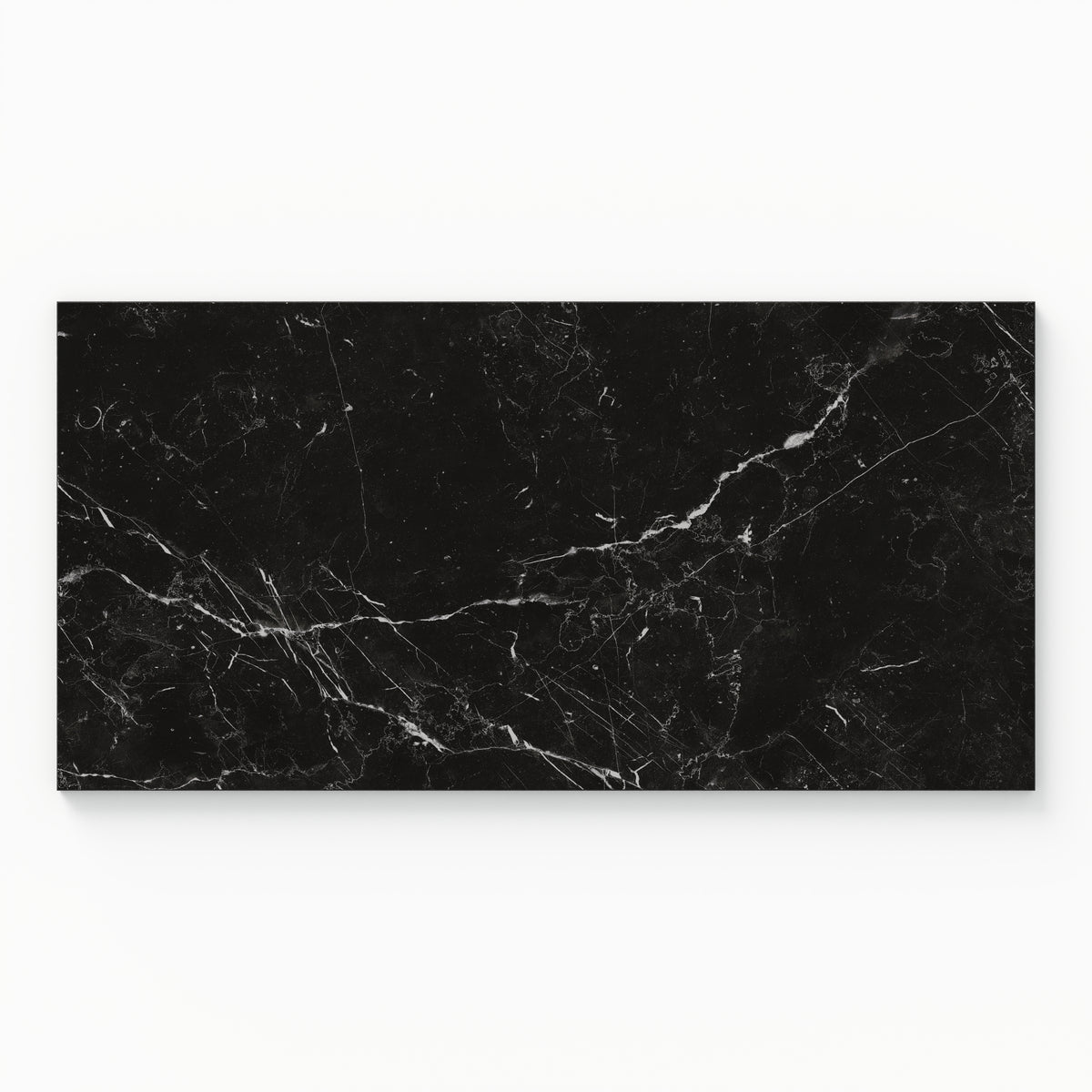 Leona 12 x 24 Matte Porcelain Tile in Nero Marquina