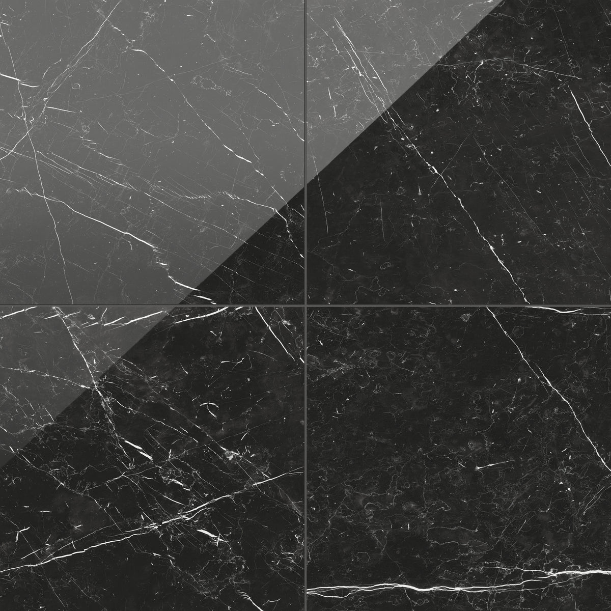 Leona 24x24 polished porcelain tile in Nero Marquina, showcasing a deep black surface with dramatic white veining.