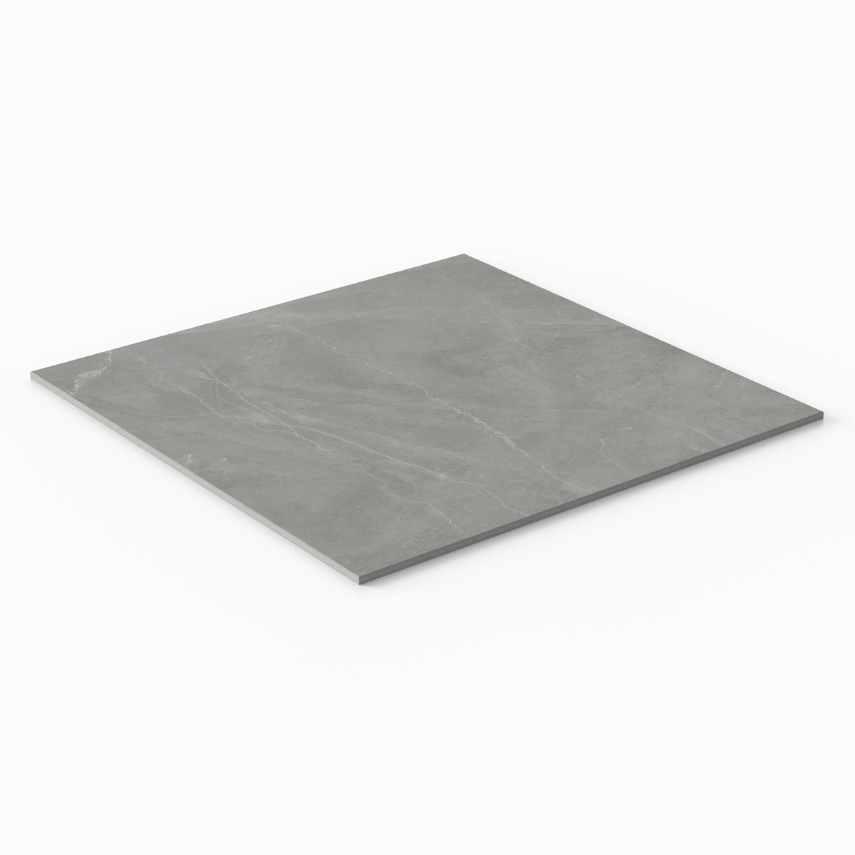 Leona 24 x 24 Matte Porcelain Tile in Amani Grey