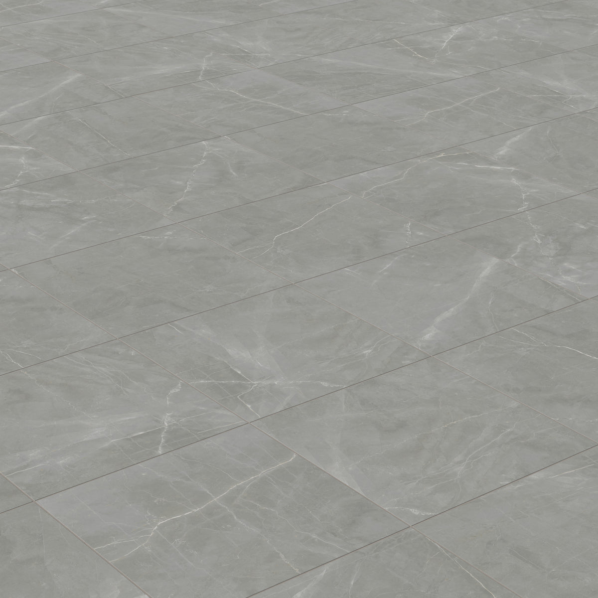Leona 24 x 24 Matte Porcelain Tile in Amani Grey