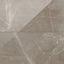 Leona 24x48 polished porcelain tile in Amani Bronze, featuring warm brown tones with subtle white veining for a sophisticated look.