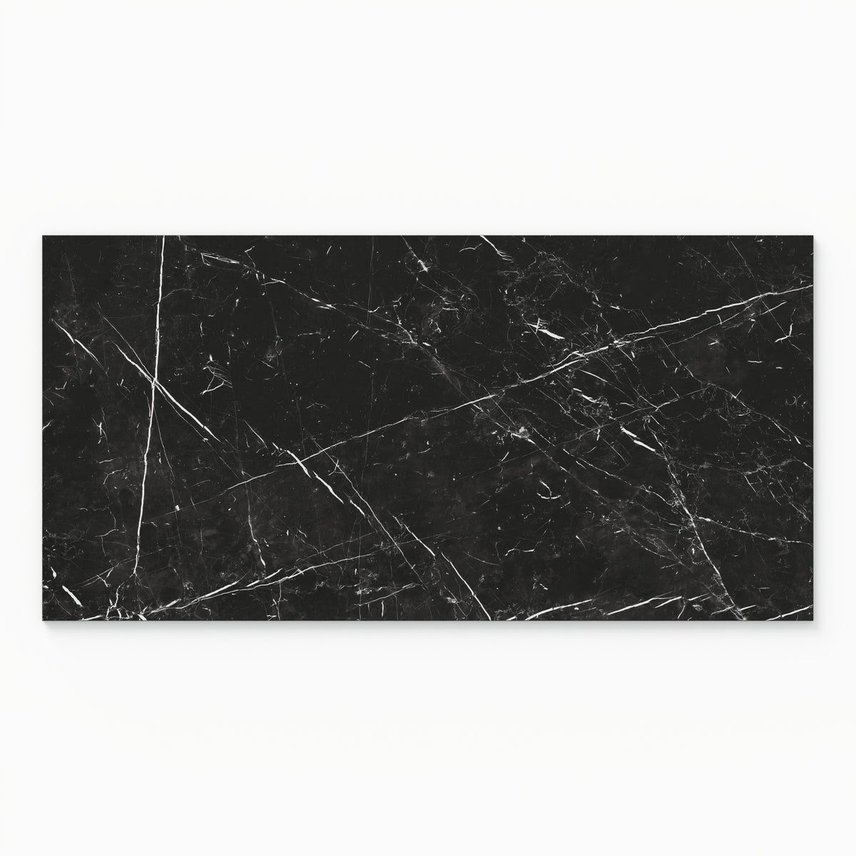 Leona 24 x 48 Polished Porcelain Tile in Nero Marquina