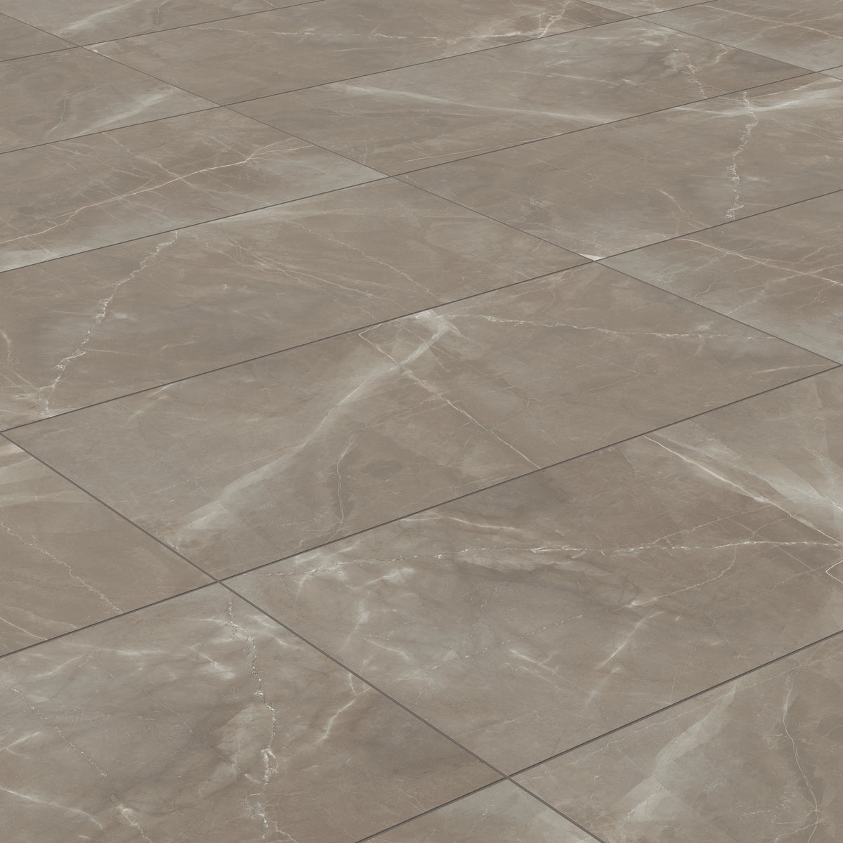 Leona 24 x 48 Matte Porcelain Tile in Amani Bronze
