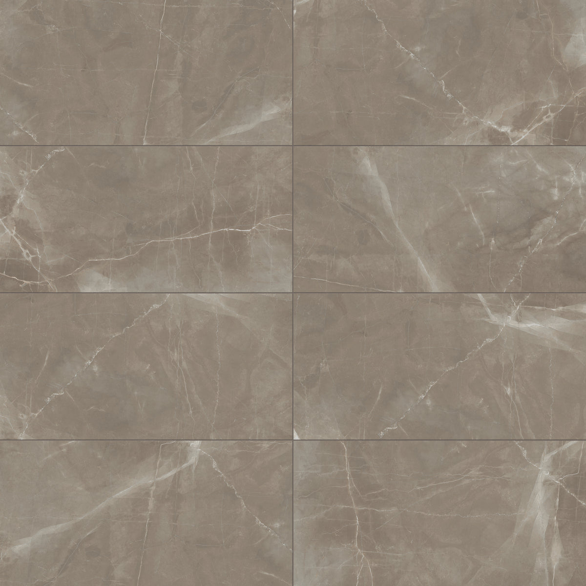 Leona 24 x 48 Matte Porcelain Tile in Amani Bronze