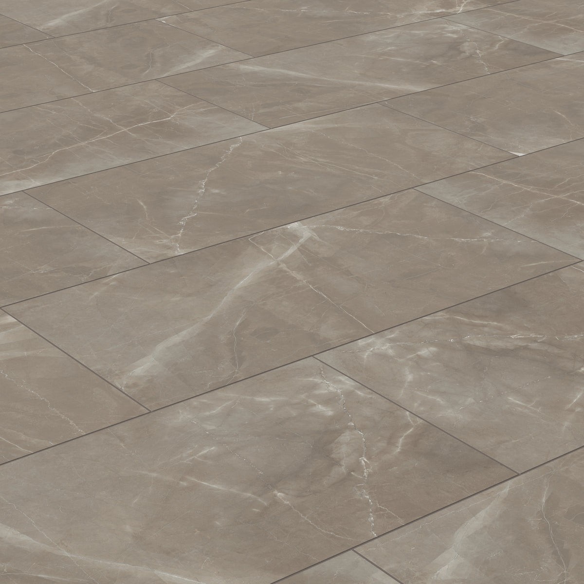 Leona 24 x 48 Matte Porcelain Tile in Amani Bronze