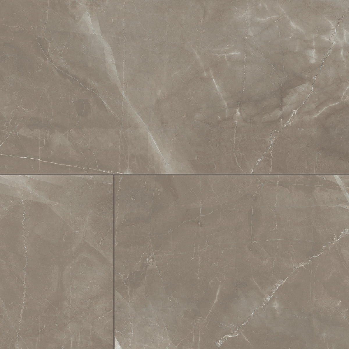 Leona 24 x 48 Matte Porcelain Tile in Amani Bronze