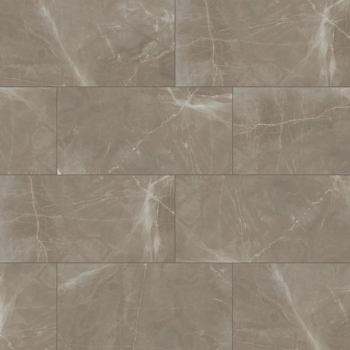 Leona 24 x 48 Matte Porcelain Tile in Amani Bronze