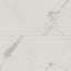Leona 24 x 48 Matte Porcelain Tile in Calacatta