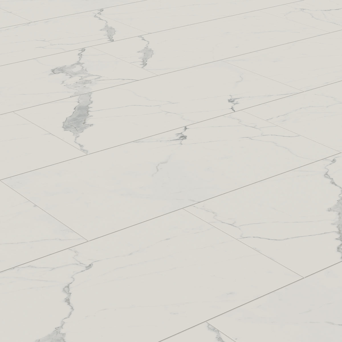 Leona 24 x 48 Matte Porcelain Tile in Calacatta