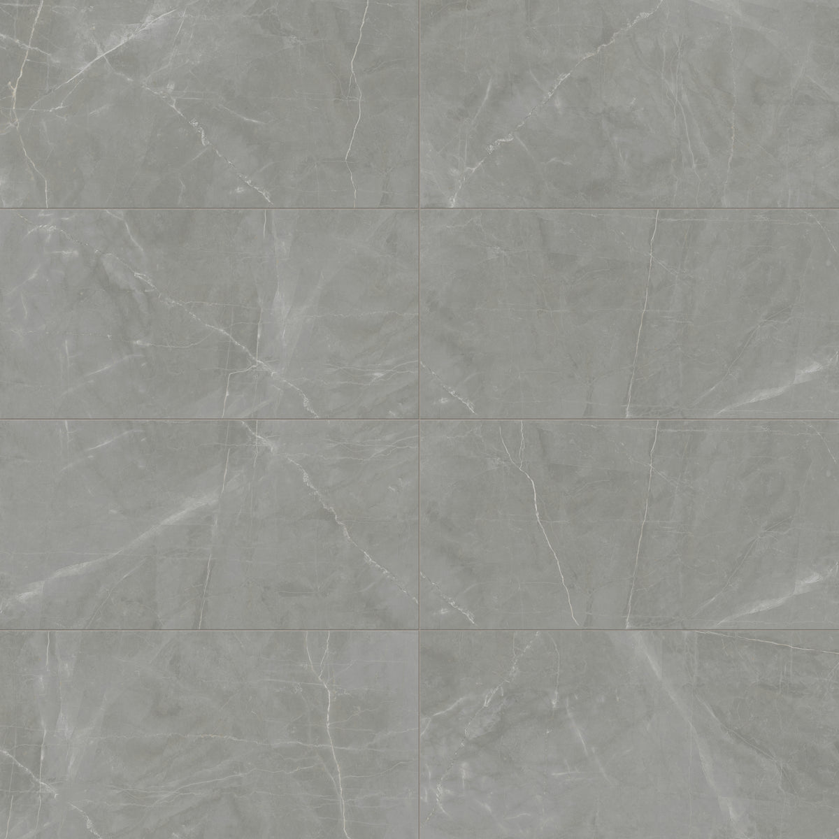 Leona 24 x 48 Matte Porcelain Tile in Amani Grey