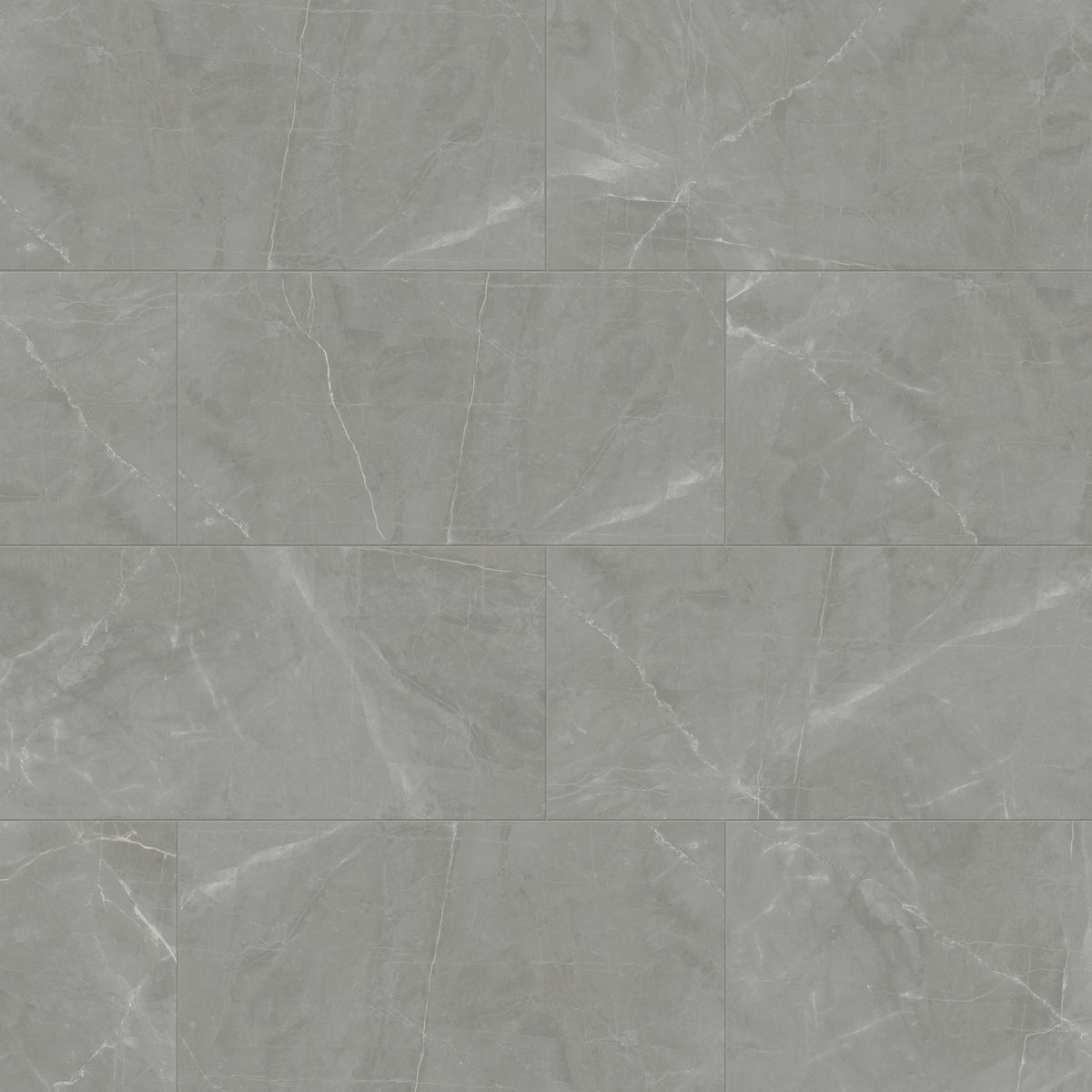 Leona 24 x 48 Matte Porcelain Tile in Amani Grey