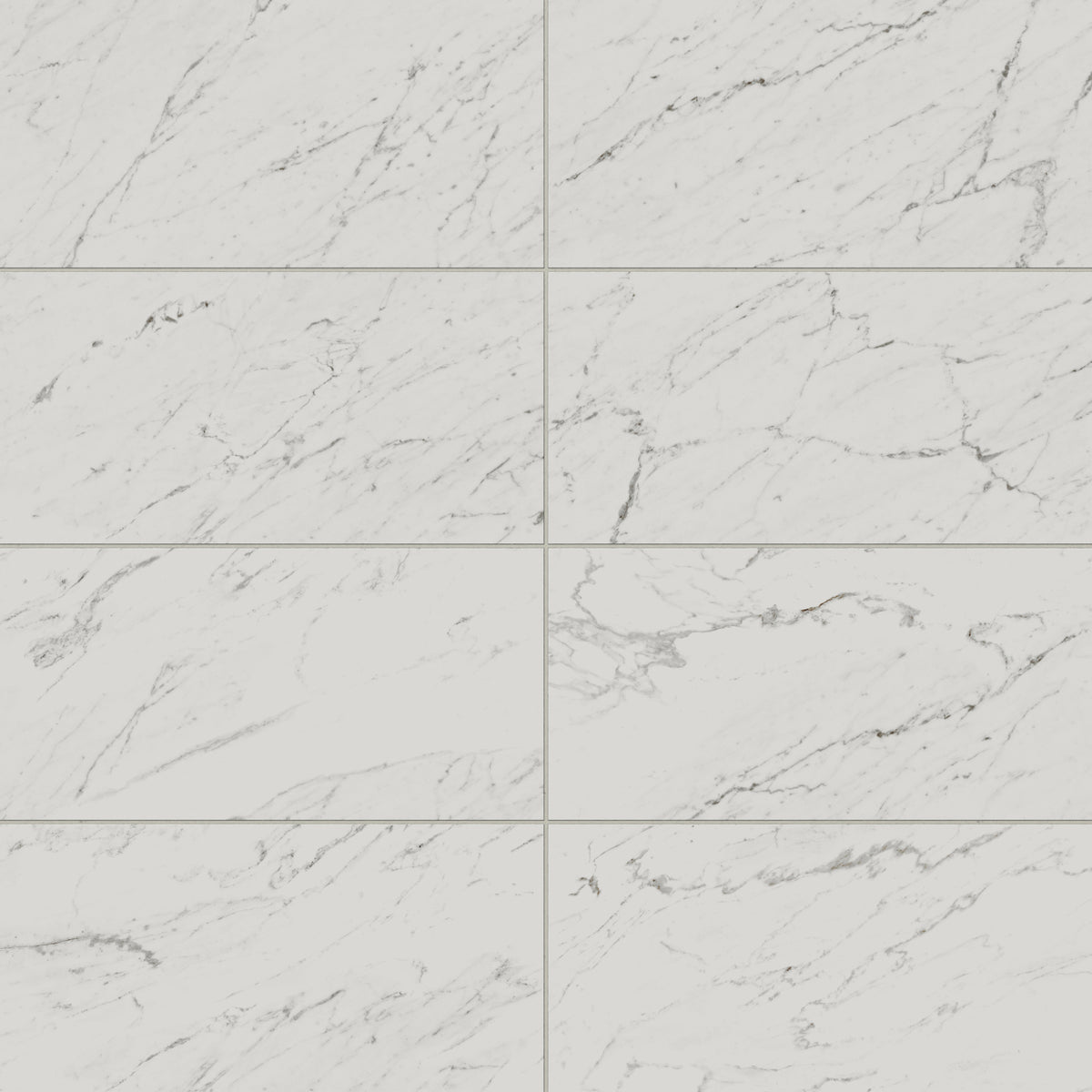 Blair 12 x 24 Matte Porcelain Tile in White Carrara