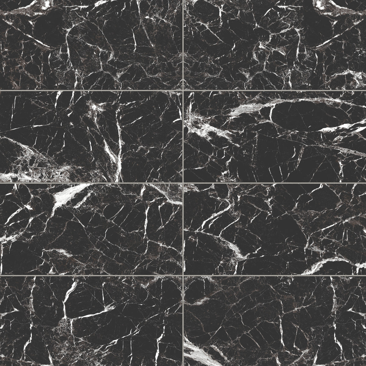 Blair 12 x 24 Matte Porcelain Tile in Marmo Black