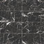 Blair 12 x 24 Matte Porcelain Tile in Marmo Black