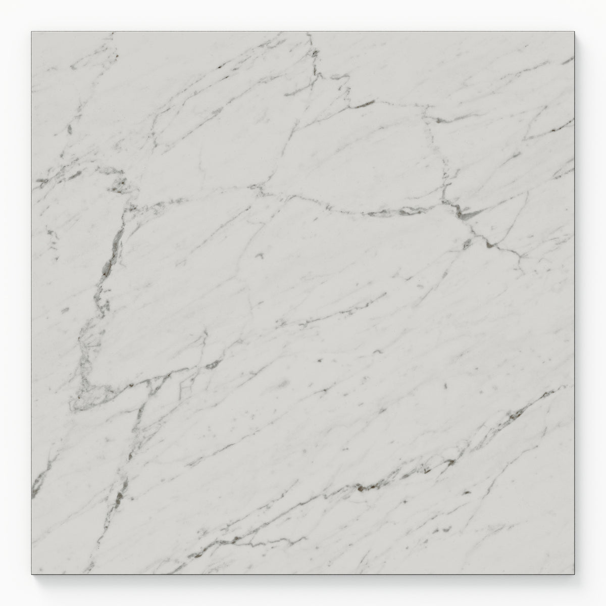 Blair 24 x 24 Matte Porcelain Tile in White Carrara