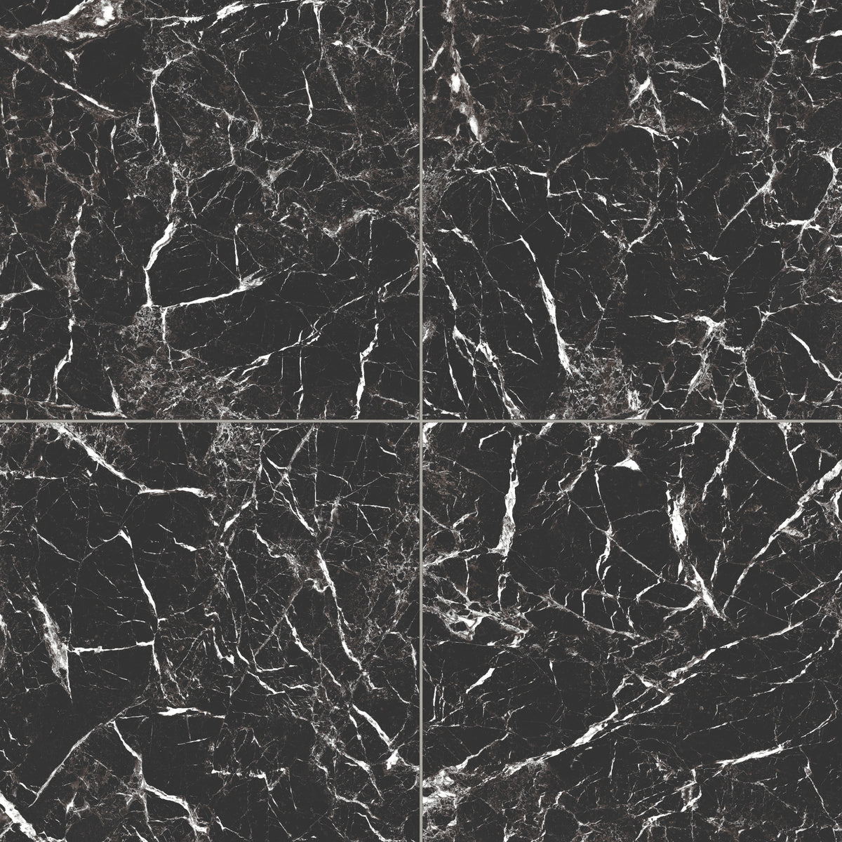 Blair 24 x 24 Matte Porcelain Tile in Marmo Black