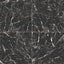 Blair 24 x 24 Matte Porcelain Tile in Marmo Black