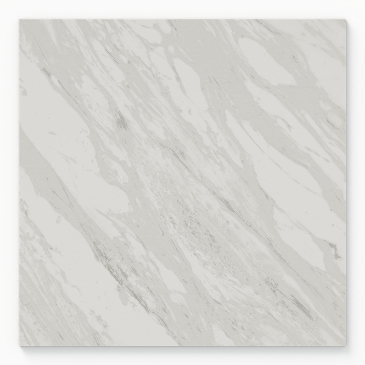 Blair 24 x 24 Polished Porcelain Tile in Volakas White