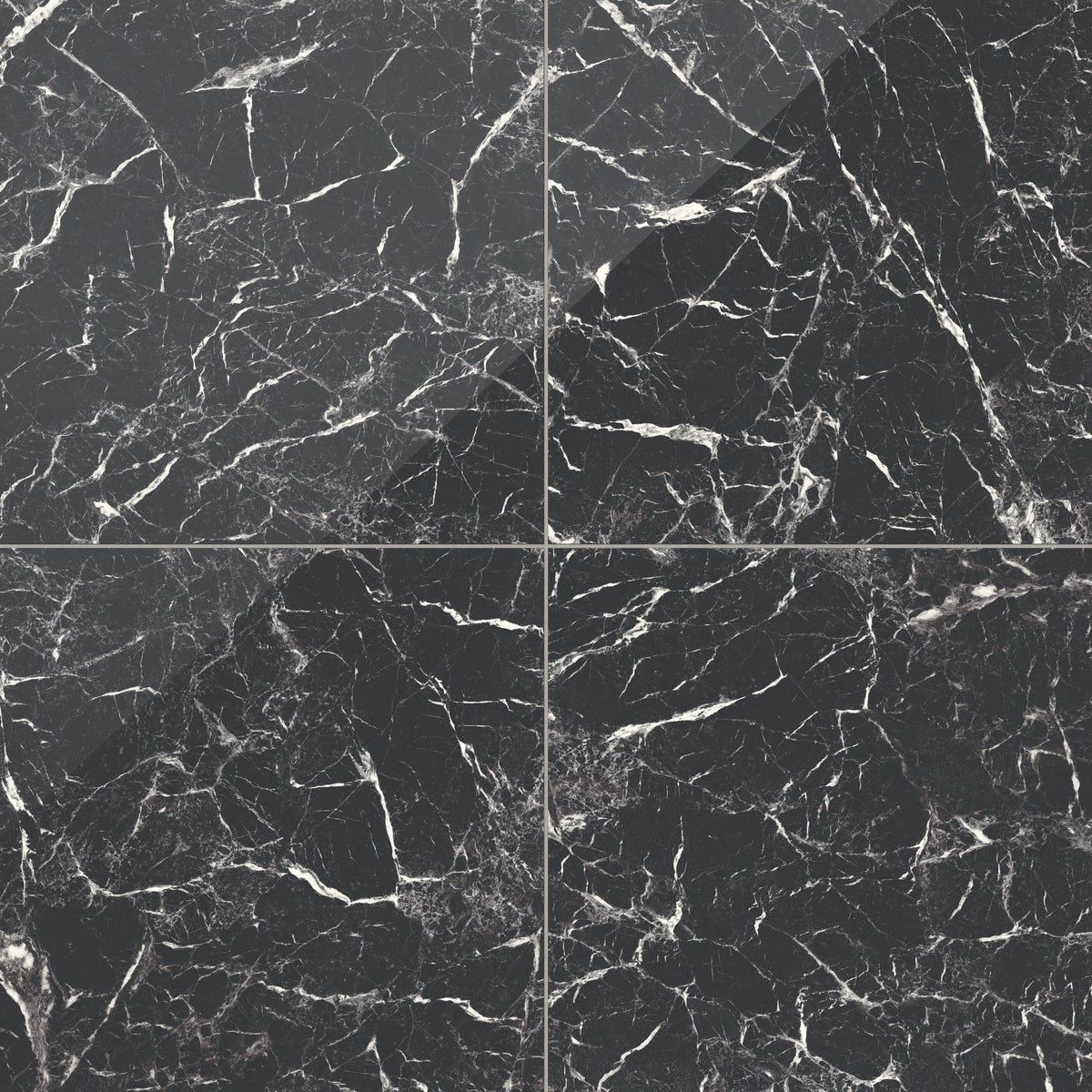 Blair 24 x 24 Polished Porcelain Tile in Marmo Black