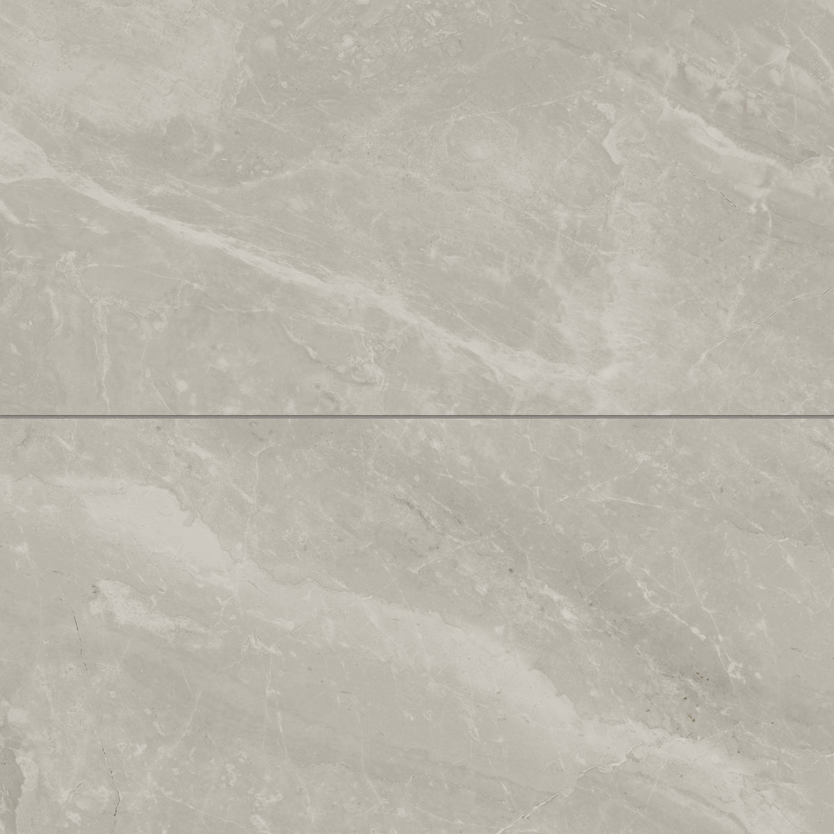 Blair 24 x 48 Matte Porcelain Tile in Oniciata Beige