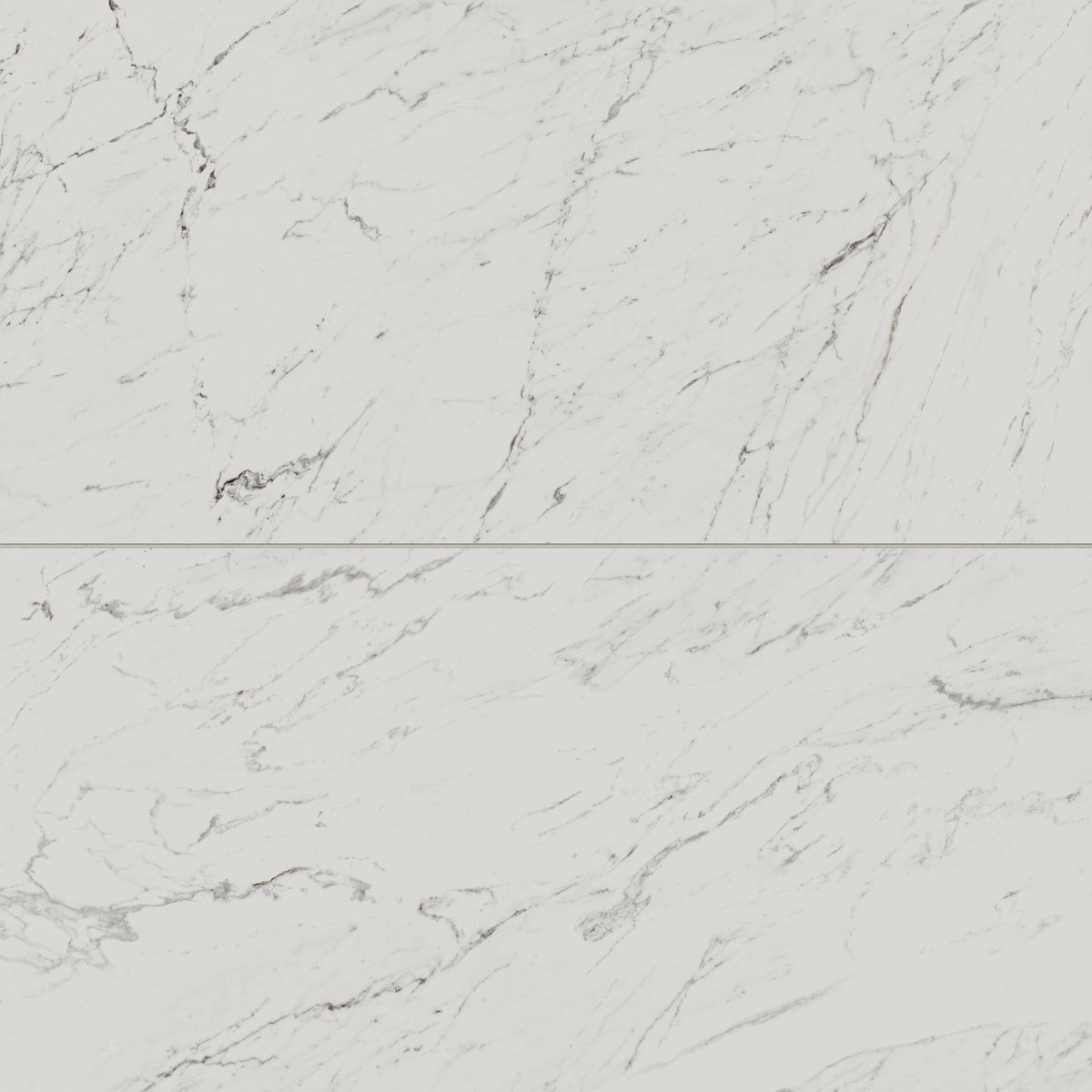 Blair 24 x 48 Matte Porcelain Tile in White Carrara