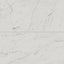 Blair 24 x 48 Matte Porcelain Tile in White Carrara